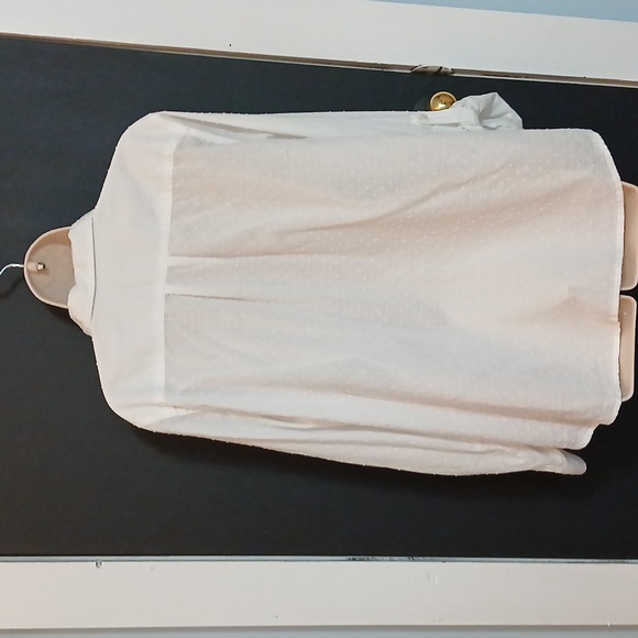 White cotton button down - Picture 5 of 6